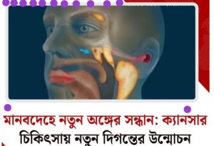 মানবদেহে  ক্যানসার চিকিৎসায় নতুন দিগন্তের উন্মোচন