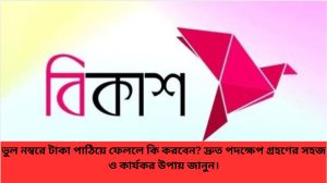 ভুল নম্বরে টাকা পাঠিয়ে ফেললে আতঙ্কিত না হয়ে দ্রুত পদক্ষেপ নিন