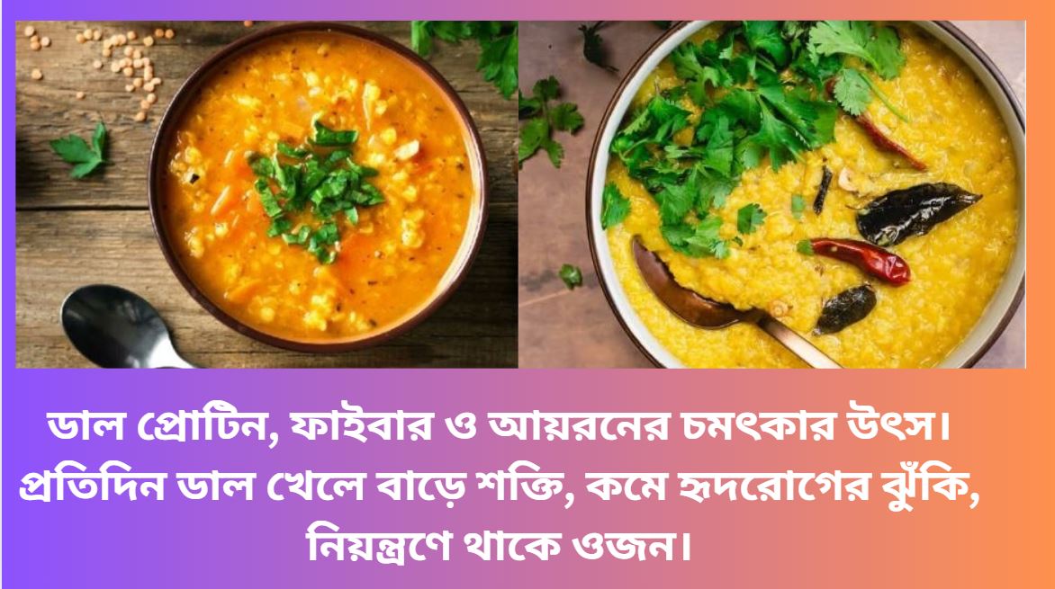 প্রতিদিন ডাল খাওয়ার উপকারিতা বিষয়ক প্রবন্ধ