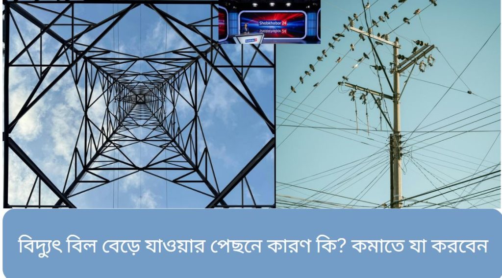 বিদ্যুৎ বিল বেড়ে যাওয়ার পেছনে কারণ কি? কমাতে যা করবেন