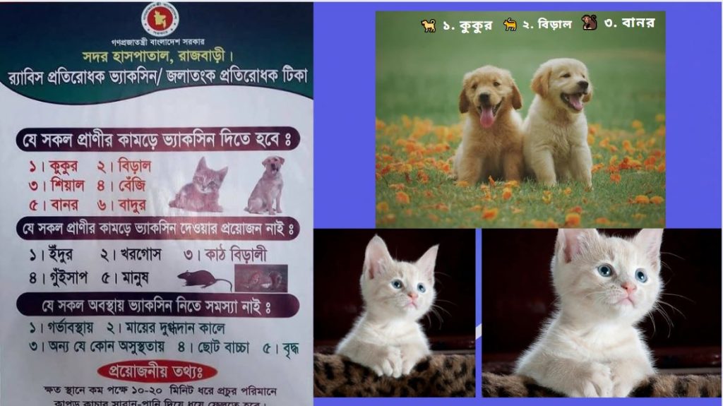 প্রাণী কামড়ালে জলাতঙ্ক বা রেবিসের টিকা দিতে হয়। জেনে নিন।