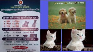 প্রাণী কামড়ালে জলাতঙ্ক বা রেবিসের টিকা দিতে হয়। জেনে নিন।