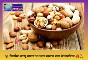 নিয়মিত কাজু বাদাম খাওয়ার যত উপকার