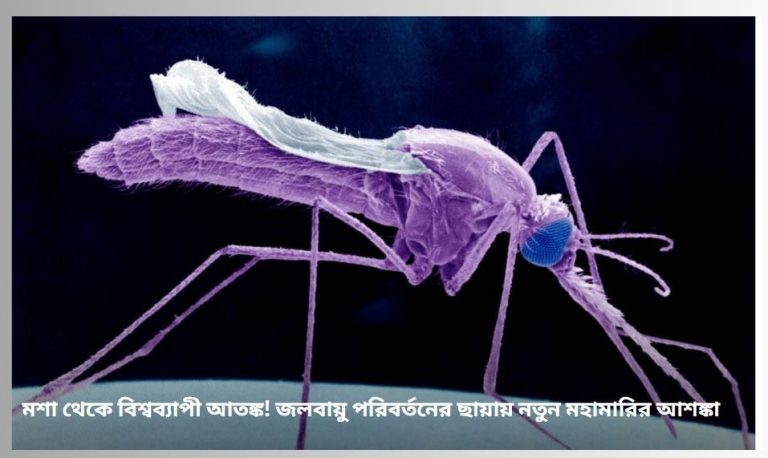 মশা থেকে বিশ্বব্যাপী আতঙ্ক! জলবায়ু পরিবর্তনের ছায়ায় নতুন মহামারির আশঙ্কা
