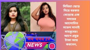 সানাই মাহবুবের সাম্প্রতিক ছবি, মিডিয়া ছেড়ে নতুন জীবনের গল্প