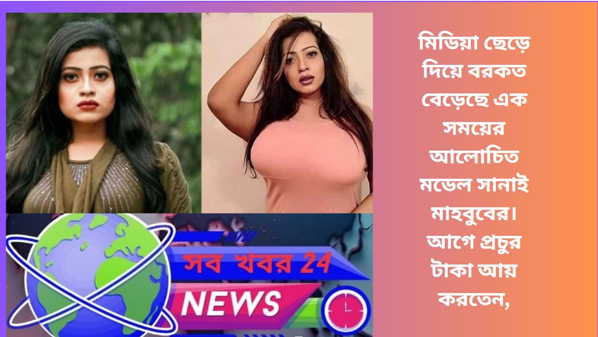 সানাই মাহবুবের সাম্প্রতিক ছবি, মিডিয়া ছেড়ে নতুন জীবনের গল্প